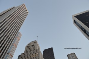 Fobia a los espacios abiertos.