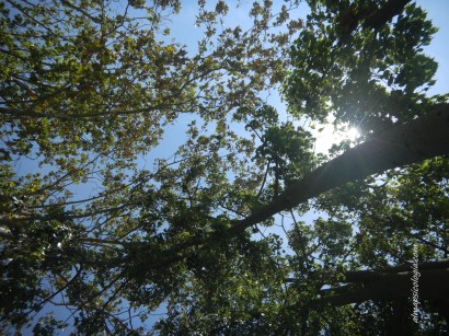 cuando la vida termina